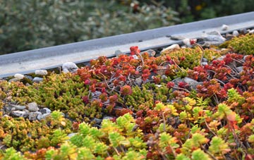 the cost of Holborn green roof installation