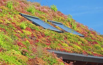 Holborn living roof systems